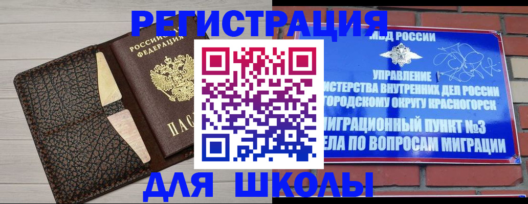прописка в Курчалом